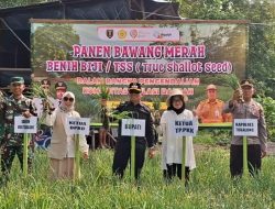 BPS Tabalong Prediksi Inflasi Bawang Merah September, Pemkab Siap Subsidi Bibit