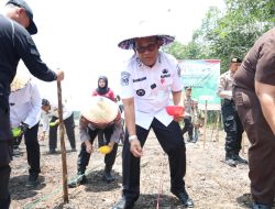 Bupati Kabupaten HSU Hadiri Tanam Jagung Serentak Kuartal IV di Desa Pulau Damar