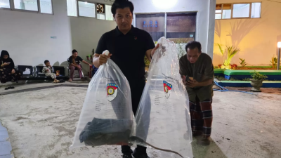 Narkoba Miming Masih Beredar di Kalsel, 67 Kilogram Sabu Dimusnahkan